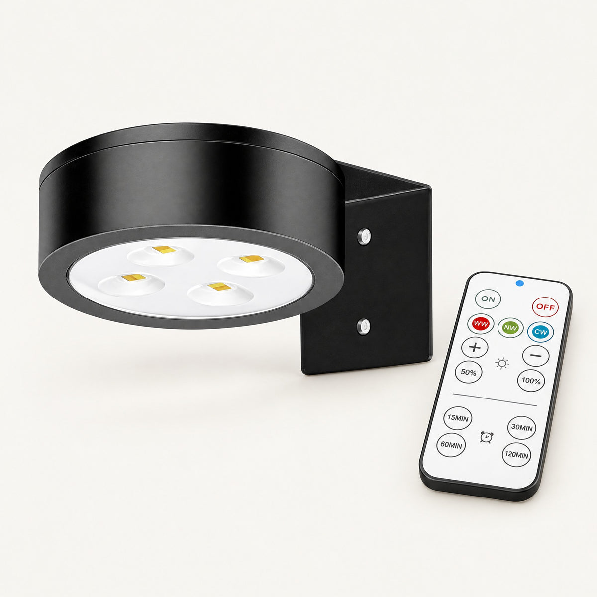 The Gallery picture spotlight on its bracket with remote control