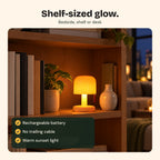 The Toadstool lamp glowing on a bookshelf